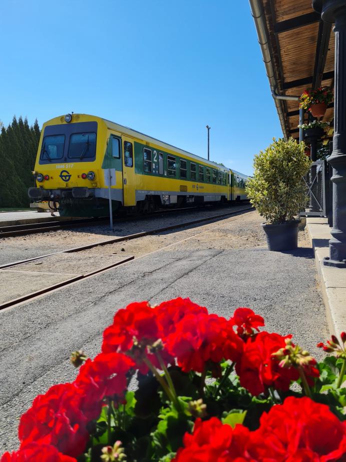 Kőszeg-Szombathely projekt nyitórendezvény_kép3